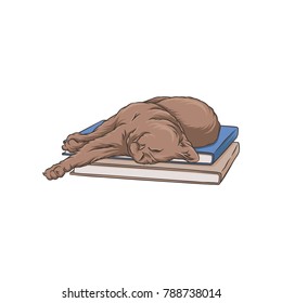 Cute brown cat pet animal sleeping on a stack of books hand drawn vector Illustration