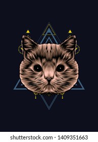 cute brown cat with sacred geometry pattern