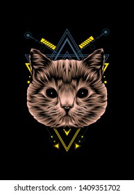 cute brown cat with sacred geometry pattern