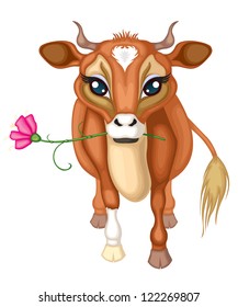 Cute brown cow holding a flower in his mouth