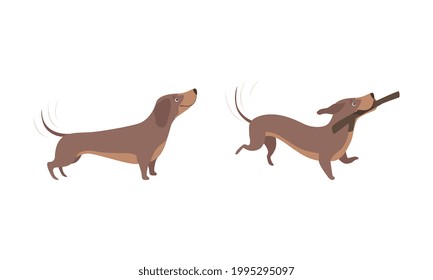 Cute Brown Dachshund Dog Activity Set, Adorable Funny Pet Animal Cartoon Vector Illustration