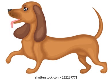 Cute brown dog breed dachshund running