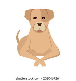 犬 イラスト 正面 Hd Stock Images Shutterstock