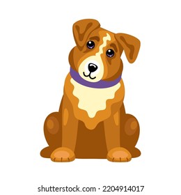 Cute brown dog is watching. An obese puppy is crying. The pet executes the command. A stray animal