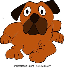 cute brown dog whit big eyes
