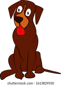 cute brown dog whit big eyes