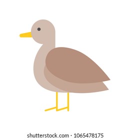 Cute Brown duck or pigeon flat icon design for farming concept