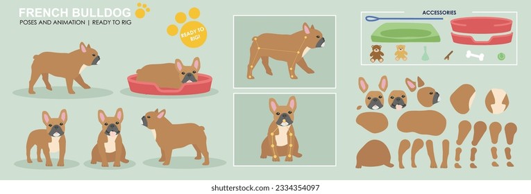 Colección vectorial de perros toros de color marrón fino con múltiples ángulos y accesorios. Cachorros durmiendo, sentados, caminando, perros populares