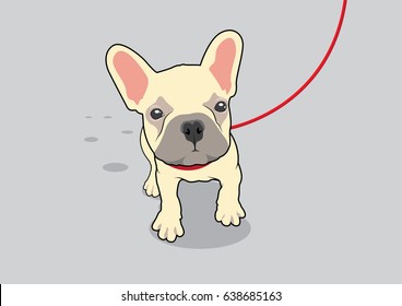Cute Brown French Bulldog Jogging with Red Leash. Adorable Brown Frenchie jogging with a red leash, full of energy and charm. Perfect for active dog lovers. Vector illustration.
