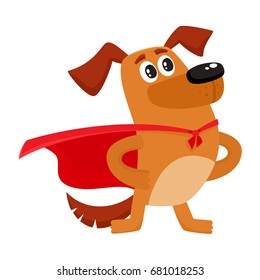 Cute brown funny dog, puppy character in red cape standing as hero, superhero, cartoon vector illustration isolated on white background. Funny dog, puppy character in hero, superhero red cape