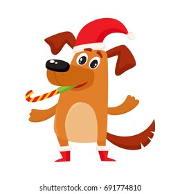 Cute brown funny dog, puppy character in Christmas hat and boots, cartoon vector illustration isolated on white background. Funny dog, puppy character in Christmas hat and boots, symbol, avatar