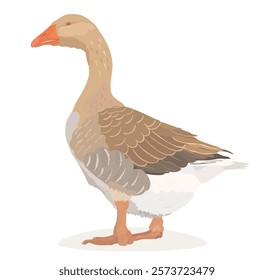 Cute brown Goose character illustration. Cartoon vector farm bird.