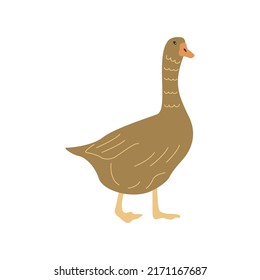 Cute brown goose. Household bird, farming. Poultry. Vector hand drawn colorful isolated. Rural animal