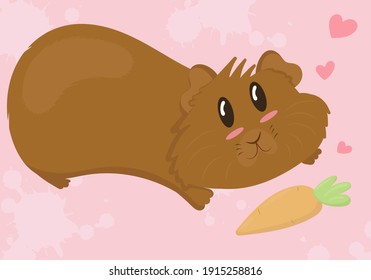 cute brown guinea pig with shaggy muzzle lies on his stomach and reaches for a delicious carrot, cute home rodent, vector illustration in flat style on pink background