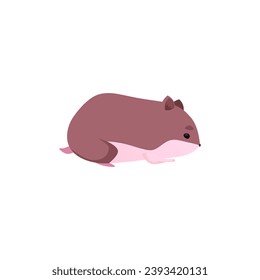 Cute brown hamster side view flat style, vector illustration isolated on white background. Decorative design element, little rodent pet, domestic animal