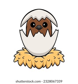 Cute brown headed cowbird cartoon inside from egg