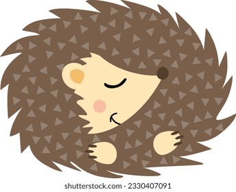 Cute brown hedgehog sleeping isolated
