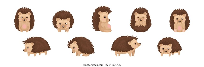 Cute Brown Hedgehog in Various Poses Vector Set