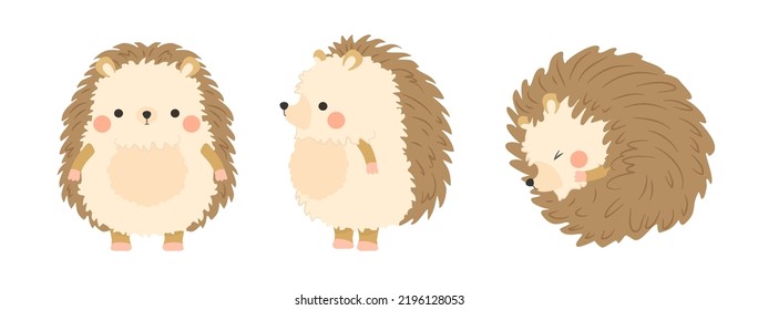 Cute brown hedgehog vector images. Hedgehog standing straight, standing sideways and rolled into a ball.