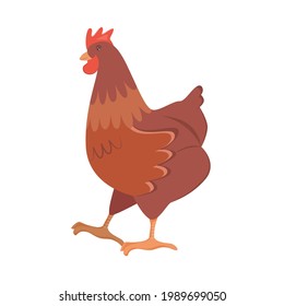 Gallina marrón y fina aislada con fondo blanco transparente. Ilustración infantil de diseño plano vectorial. Vista lateral. Dibujo de animales domésticos de granja.