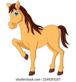 Cute brown horse cartoon on white background