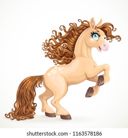 Cute brown horse with long mane rearing up isolated on a white background