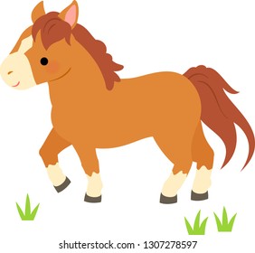 A cute brown horse walking