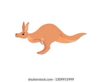 Cute Brown Kangaroo, Wallaby Australian Animal Character, Side View Vector Illustration