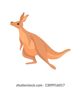 Cute Brown Kangaroo, Wallaby Australian Animal Character Vector Illustration