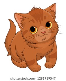 Cute brown kitten