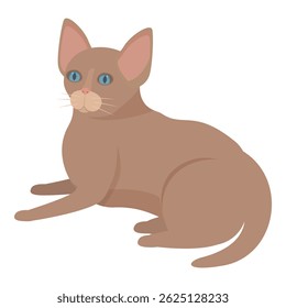 Cute brown kitten is lying down, its big blue eyes sparkling with curiosity