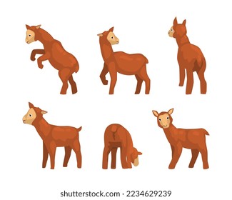 Cute Brown Lamb as Farm Animal in Different Poses Vector Set
