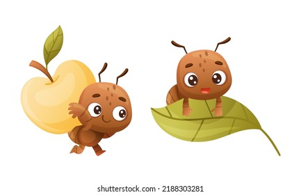 Cute brown little ant carrying apple and sitting on green leaf. Funny insect in everyday activities cartoon vector illustration