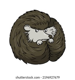 Cute brown little hedgehog curled up in a ball, vector illustration in cartoon style on a white background