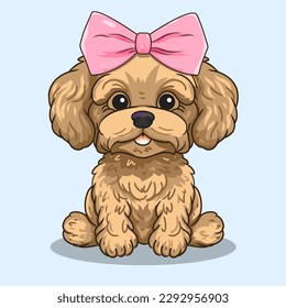 Cute brown maltipoo (maltese poodle) sitting with pink bow