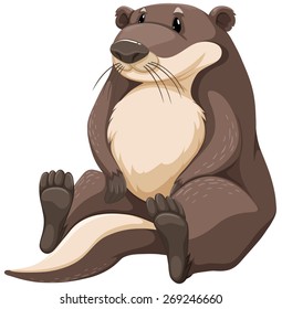 Cute brown otter on white background