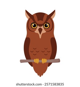 Cute brown owl sitting on tree branch. Clipart character, Wild animal, avian, bird. Vector