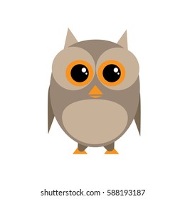 cute brown owl vector on white background