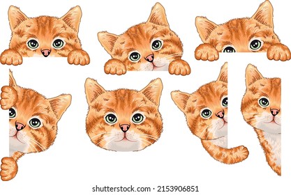 Cute brown peeking cat illustration bundle. Set of curious cat. Tabby cat.