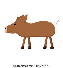 cute brown pig on white background