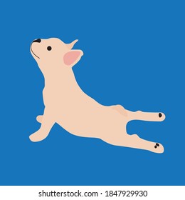 Cute brown pug pet stretching against blue background. Perfect for greeting cards kids illustrations social media posts