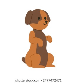 Cute brown puppy standing pose