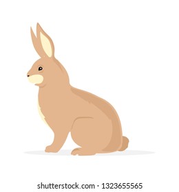 Cute brown rabbit bunny rodent cartoon isolated on white background.