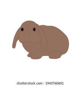 Cute brown rabbit isolated on a white background. Vector illustration.