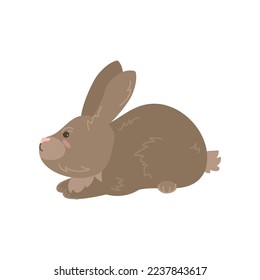 Cute brown rabbit sitting on white background. Cute bunny cartoon illustration. Farm animal concept