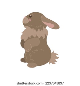 Cute brown rabbit standing on hind legs on white background. Cute bunny cartoon illustration. Farm animal concept