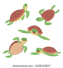 cute brown sea turtle illustration collection isolated on white background