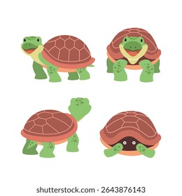 cute brown sea turtle illustration collection isolated on white background