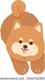 cute brown shiba inu shibainu dog puppy character