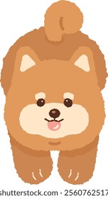 cute brown shiba inu shibainu dog puppy character